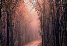 FB体育官网-法国足坛冠军大将如何战胜身体不适，重返巅峰