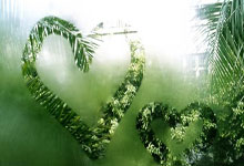 FB体育APP-德甲重磅对决：掘金迎战拜仁，出线形势今夜定乾坤！