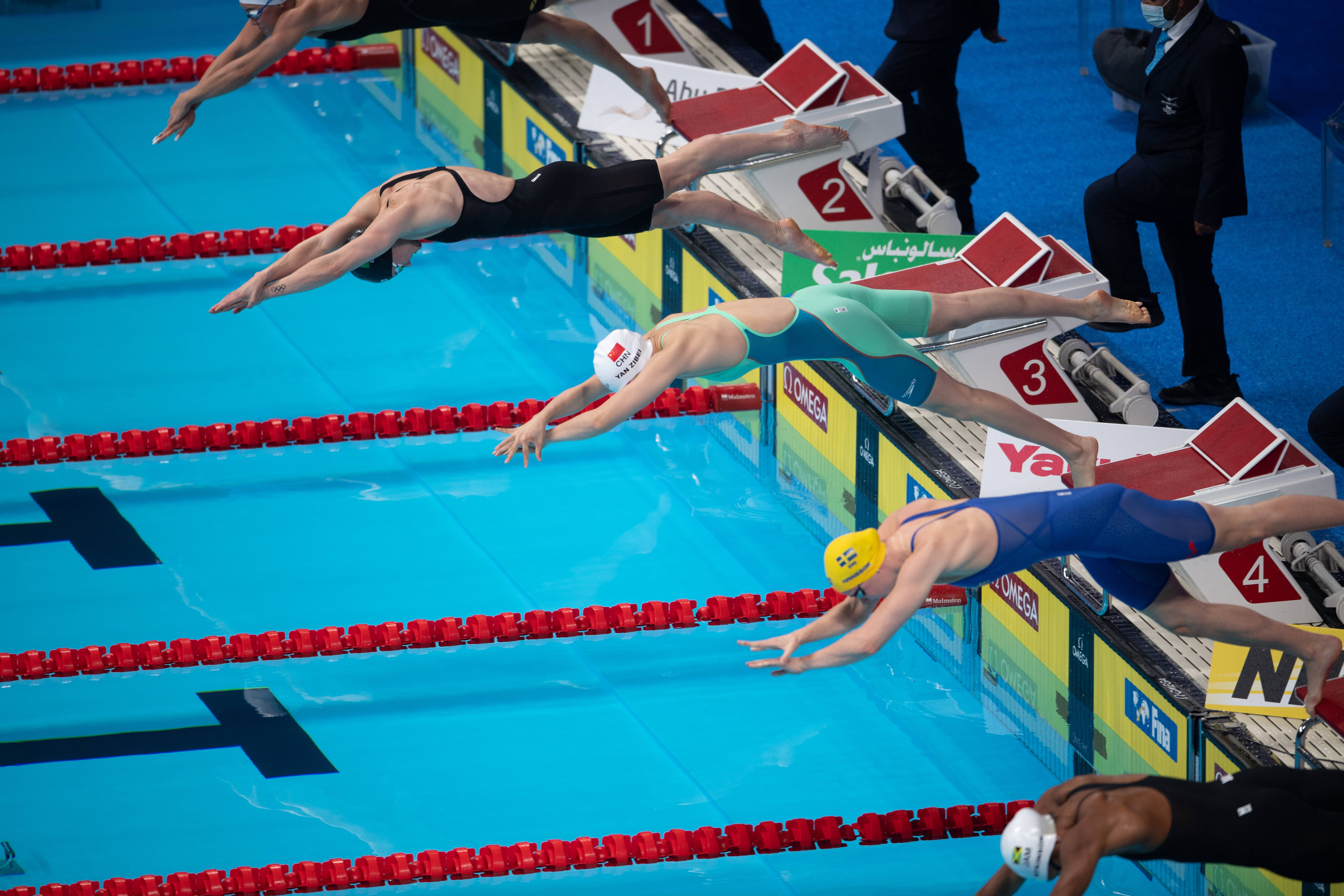 关于委内瑞拉游泳选手夺得男女混合接力赛金牌的信息 关于委内瑞拉游泳选手夺得男女混合接力赛金牌的信息